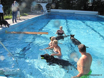 Zwemmen in Zwembad De Rijd met familieleden